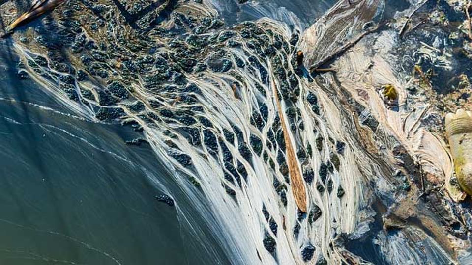 Road Traffic Could Be a Major Source of Water Pollution content piece image